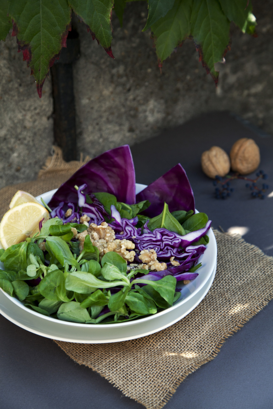 Salade met rode kool en veldsla